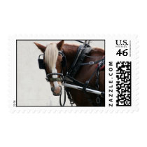 The Sleigh Ride postage