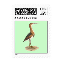 The Small Bittern	(Ardea exilis) Stamp