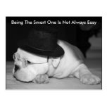"The Smart One"...English Bulldog Puppy Postcard