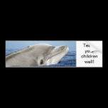 The smiling dolphin bumper stickers