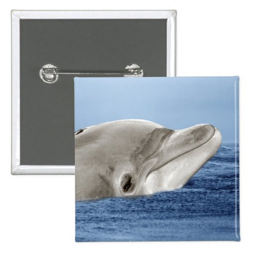 The smiling dolphin button