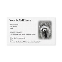 The smiling raccoon business card