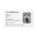 The smiling raccoon business card