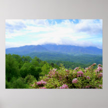 The Smoky's Print