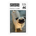 The Smug Pug postage