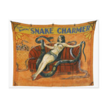 The Snake Charmer Post Cards
