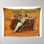 The Snake Charmer Poster