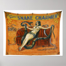 The Snake Charmer Poster