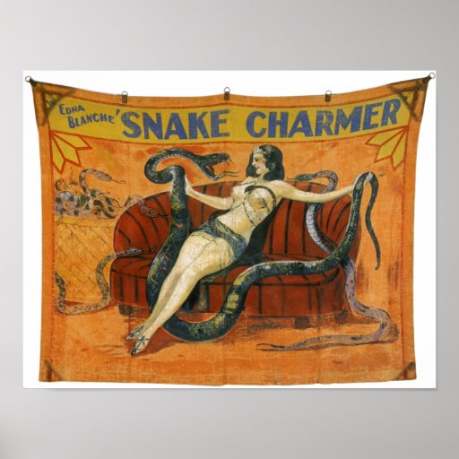 The Snake Charmer Poster