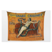 The Snake Charmer Customized Stationery