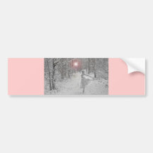 The Snow Queen Bumper Sticker