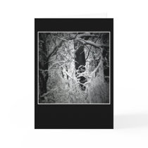 the snow queen's bower cards