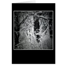the snow queen's bower cards