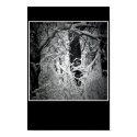 the snow queen's bower posters