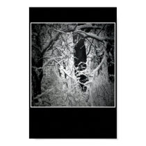 the snow queen's bower posters