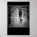 the snow queen's bower posters