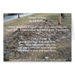 the snowbird's poem card