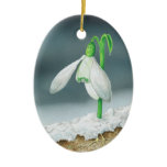 The Snowdrop ornaments