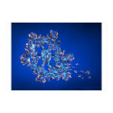 The Snowflake Melting On The Warm Wind posters by Gena The Snowflake Melting On The Warm Wind posters