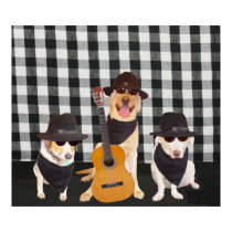 The Soul Dogs posters