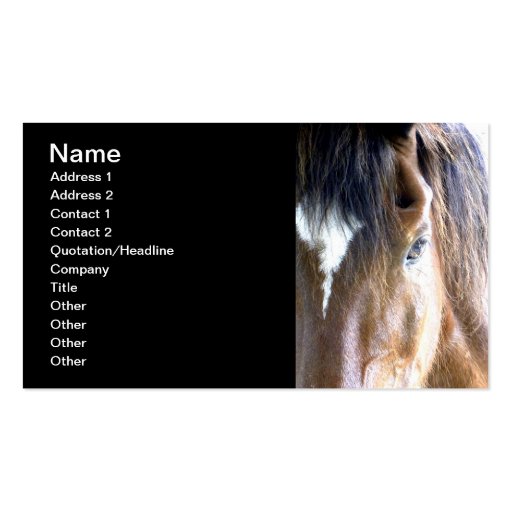 The Soul l Equine/Horse Related-Business Business Cards (front side)