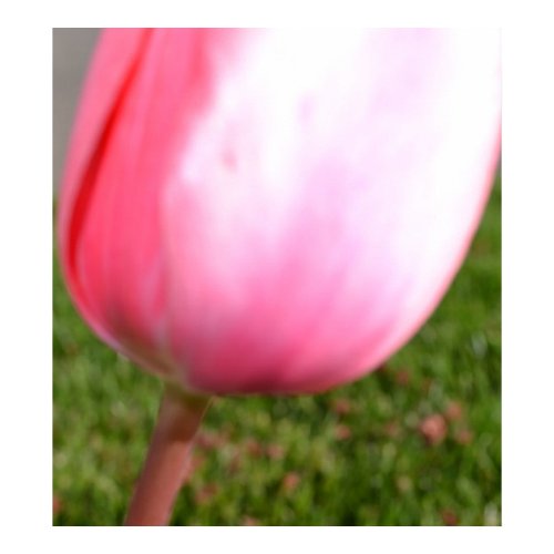 The Soul print