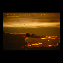 The Soul That Sees Beauty Visual Quote (poster) posters