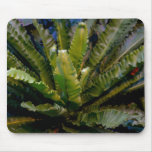 The Sound of Flora Mousepad