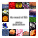 The Sound of Life - Phillip Presswood posters by Presswood The Sound of Life - Phillip Presswood posters