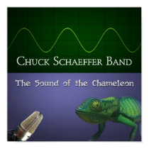 The Sound of the Chameleon Poster