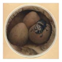 THE SPANISH COPRIS - Insect Book Illustration posters