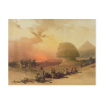 The Sphinx at Giza Postcard