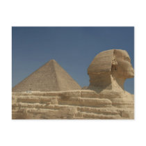 The Sphinx Postcards