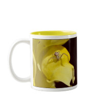 The Spider and the Snapdragon mugs by Daru_Stevens The Spider and the Snapdragon mugs