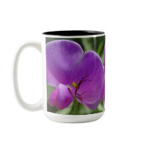 The Spider and the Sweet Pea mugs