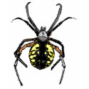 the Spider on My Back t-shirts