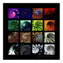 The spiral variations posters