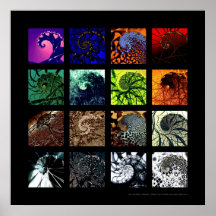 The spiral variations print
