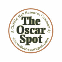 The Spot photo sculptures
