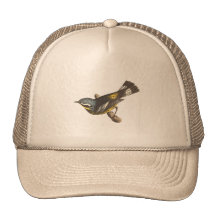 The Spotted Warbler	(Sylvicola maculosa) Mesh Hats