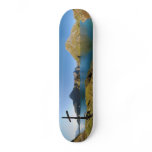 The Spullersee Mountain Lake Vorarlberg Austria Skateboards