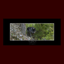 THE STALKER II Poster posters by RavenSpiritPrints THE STALKER II Poster posters