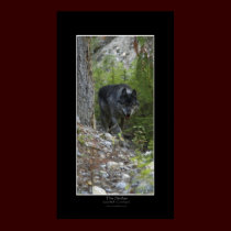 THE STALKER Poster posters by RavenSpiritPrints THE STALKER Poster posters