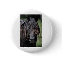 The Stallion Button