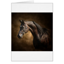 The Stallion Greeting Cards
