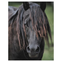 The Stallion Personalized Letterhead