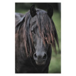 The Stallion Stationery Design