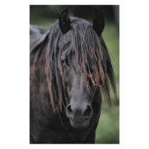 The Stallion Stationery Design
