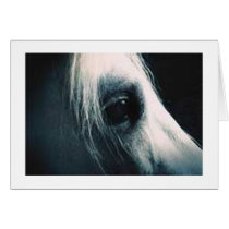 The Stallion's Eye cards by j9oneill The Stallion's Eye cards