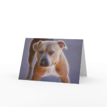 The Stance Card